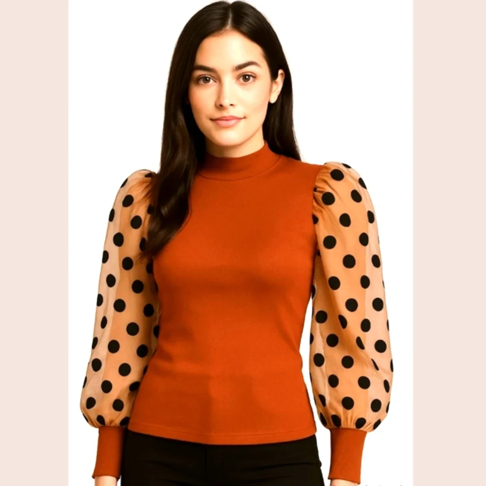 Bronze Mesh Polka Dot Patchwork Puff Bishop Sleeve Fitted Top - Picture 5 of 6
